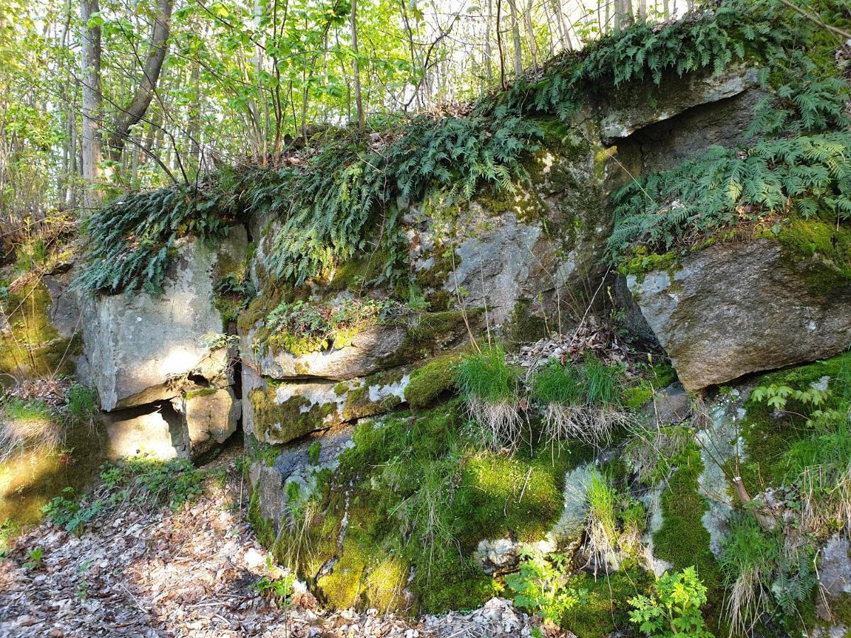 Pokoje Karkonosze Przesieka Exterior foto